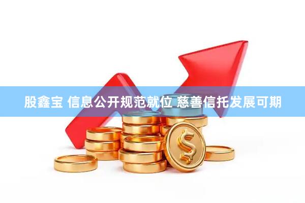 股鑫宝 信息公开规范就位 慈善信托发展可期
