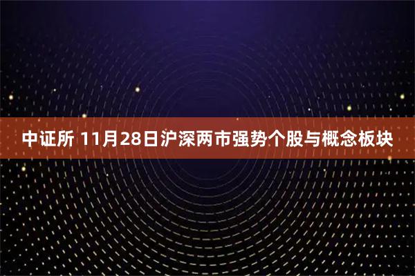 中证所 11月28日沪深两市强势个股与概念板块